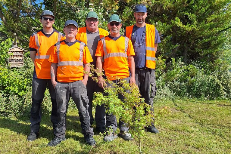 Ouvriers en plein air en plantation d’arbres fruitiers