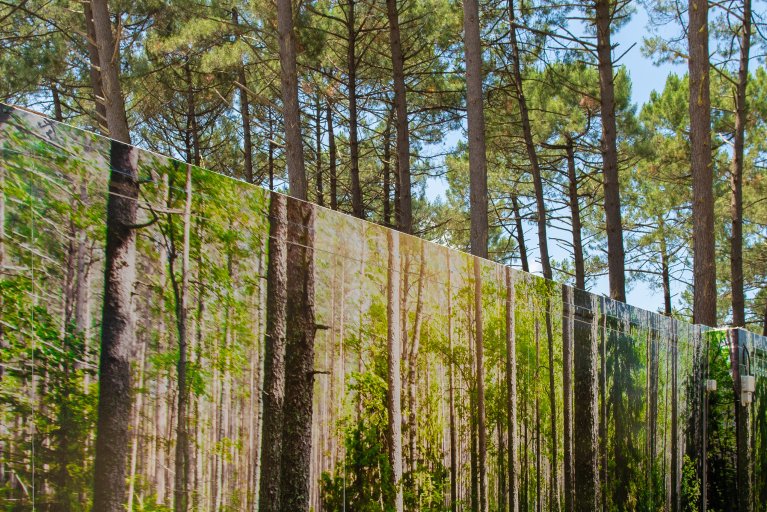 façade en trompe l’œil de pins des Landes sur logement modulaire ALGECO® temporaire en forêt à Arès (Bassin d’Arcachon)