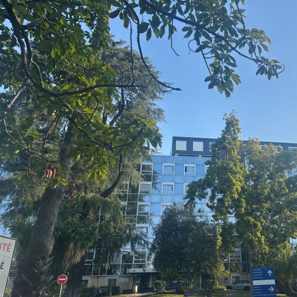 façade de l’hôpital La Palmosa de Menton derrière les arbres avec bureaux modulaires ALGECO® sur le toit